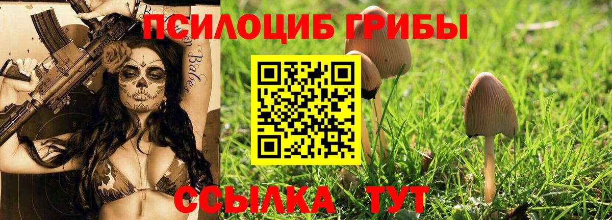 Тихорецк  Галлюциногенные грибы Magic Shrooms  купить  цена  Вход с VPN 